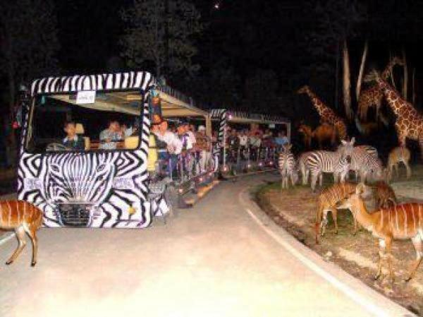 Chiangmai Night Safari Resort Chiang Mai Ngoại thất bức ảnh